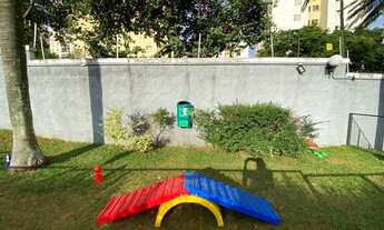 Imagem 7: Ótimo apartamento sala ampla e 3 dormitórios com suite