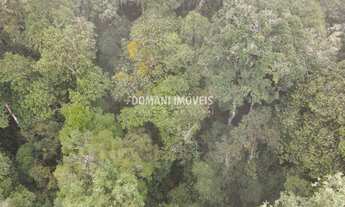 Imagem 5: Ampla Área de Terreno à Venda na Região de Descansópolis - Campos do Jordão/SP