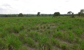 Imagem 3: . Uma Fazenda 764 alqueires 78 km de Pedro Afonso Toca .. 2