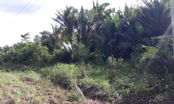 Imagem 4: Fazenda para pecuaria em Caxias do Maranhão