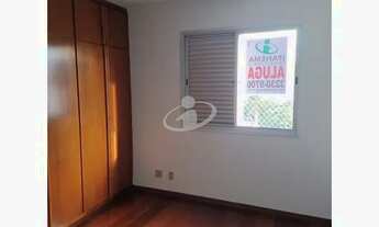 Imagem 7: Aluguel Apartamento CENTRO