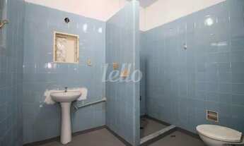 Imagem 5: São Paulo - Casa Comercial - Cambuci