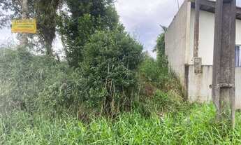 Imagem 6: Terreno Coroados