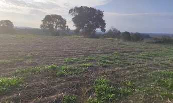 Imagem: Lote/Terreno para venda possui 700 metros