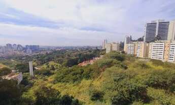 Imagem 6: Apartamento Residencial à venda, Vila Suzana, São Paulo - AP6571