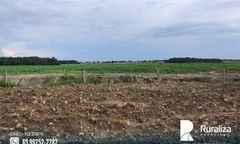 Imagem 7: Fazenda em exploração agrícola na região do Vale do Araguaia TO