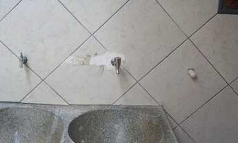 Imagem 3: Ótima casa e Apartamento em Mesquita