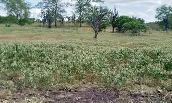 Imagem 6: Excelente oportunidade de comprar uma fazenda às margens do rio Jacuipe com 136t