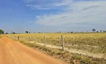 Imagem: Fazenda a venda, em Mundo Novo - Goiás!