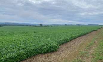 Imagem 2: Fazenda 42 alqueires Itaberaí Goiás