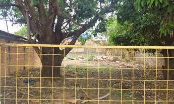 Imagem 4: Lote Jardim Ipiranga 373m²