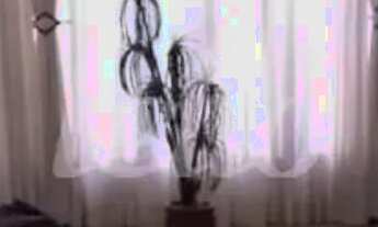 Imagem: Casa 3 quartos à venda no(a) Sítio da