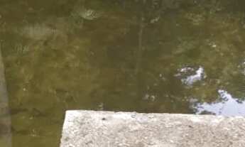 Imagem: Vendo Chácara Km 82 Br 174 R$350mil