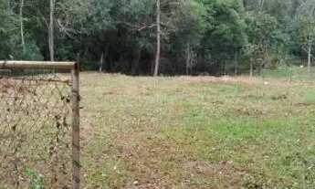 Imagem 3: Terreno em Dois Irmãos