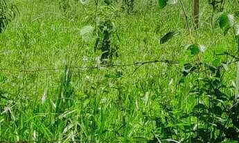 Imagem 6: Terreno em Local Tranquilo bairro Tiradentes