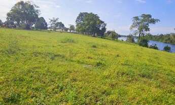 Imagem 6: Fazenda 1.500 x 2.000 com 30 cabeças de gado Autazes 1.100.000