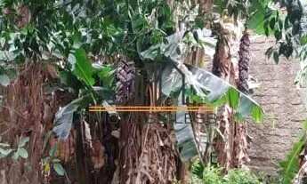 Imagem 7: Terreno localizado no bairro Nossa Senhora das Graças/Canoas REF: 2202