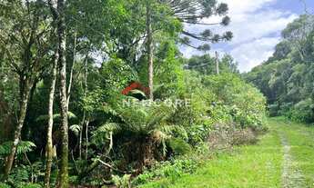 Imagem 3: Lote em Rua 6 Alpes - Alpes - São Francisco de Paula/RS