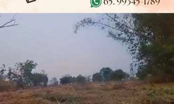 Imagem: Terreno - João Carro