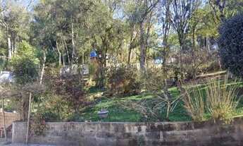 Imagem 3: Chácara em Sjp na continuação do caminho do vinho, Troco, Vendo