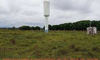 Imagem 3: Fazendinha de 50 hectares próximo da cidade de Cuiabá MT