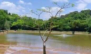 Imagem 4: Terreno com Projeto em São Roque !