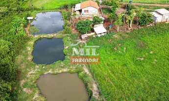 Imagem 5: Chácara 11,73 alqueires (56 hectares) Taquaral - Go