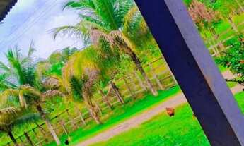 Imagem 6: Venda sítio Chácara com venda por R$500.000