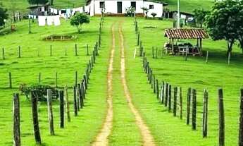 Imagem 3: Fazenda é aqui mesmo!