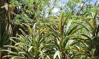 Imagem 6: Casa a venda Setor Oeste Goiânia