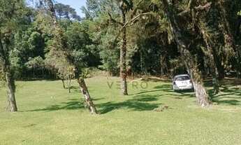 Imagem 5: Terreno à Venda em Canela!