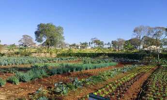 Imagem 7: Ágio - Condominio Florata