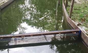 Imagem 6: Vendo Chácara Km 82 Br 174 R$350mil