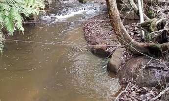 Imagem 6: Sítio bom para abacate ,café ,milho,gado