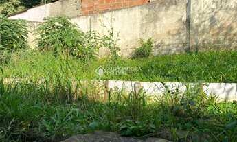 Imagem 7: Linda casa 3 quartos em Porto Alegre