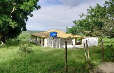 Imagem 3: Fazenda São João Evangelista