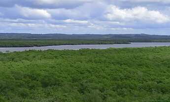 Imagem: Fazenda São João Evangelista