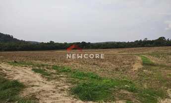 Imagem 6: Sítio em Rua Saldanha Marinho - Centro - Itapetininga/SP