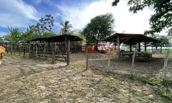 Imagem 3: Fazenda com 70 tarefas em Itaporanga