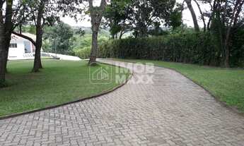 Imagem: Chácara formada, excelente oportunidade