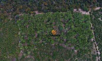 Imagem: Área à venda, 432HA por R$ 2.500.000