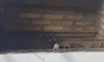 Imagem 7: Casa no Residencial New Ville, VENDA ou LOCAÇÃO, coqueiro - Ananindeua/PA