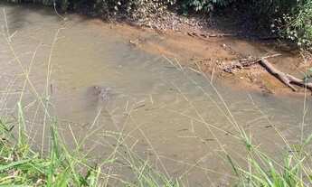 Imagem 6: Fazenda Anápolis 20 alqueires