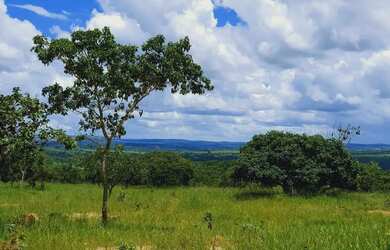 Imagem 6: Terrenos 20.000m² Financiados Entre Lagoa Santa e Serra do Cipó