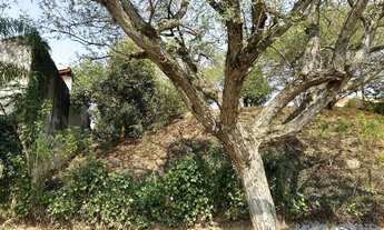 Imagem 4: TERRENO EM CONDOMÍNIO - LOTEAMENTO CAMINHOS DE SAN CONRADO (SOUSAS) - SP