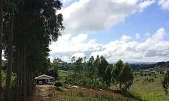 Imagem: Chácara em São José dos Pinhais