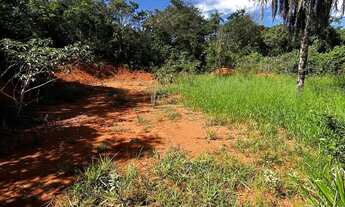 Imagem 4: Lote Mateus Leme