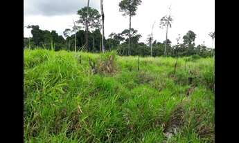 Imagem 4: Terra documentada gel car 35 alkeiros