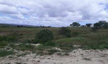 Imagem 2: Vende-se excelente Fazenda em Gravatá com 11.7 hectares. Referência: 0275