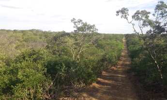 Imagem: Propriedade Rural